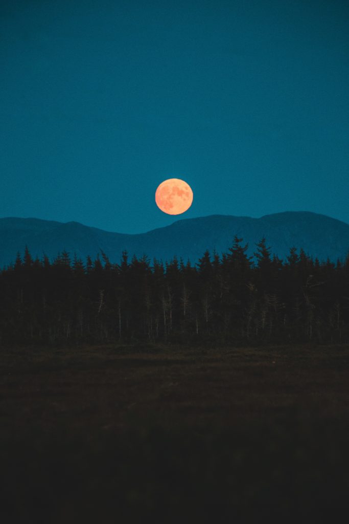 full moon orange