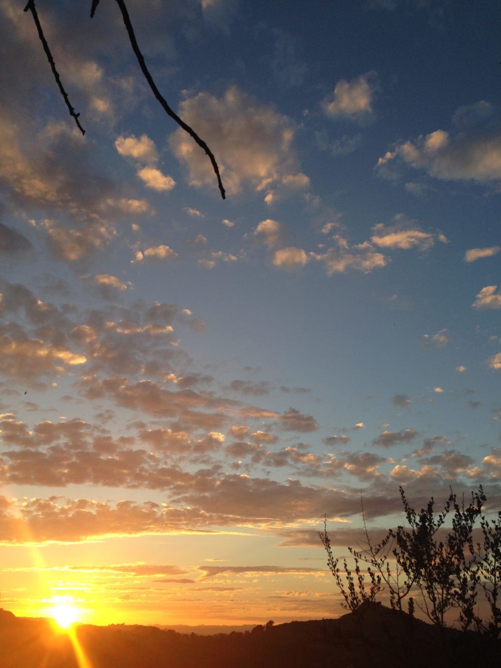 orange sunset
