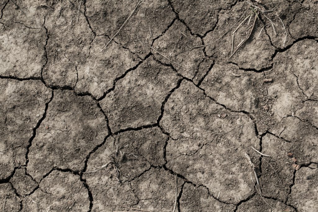 dry broken earth