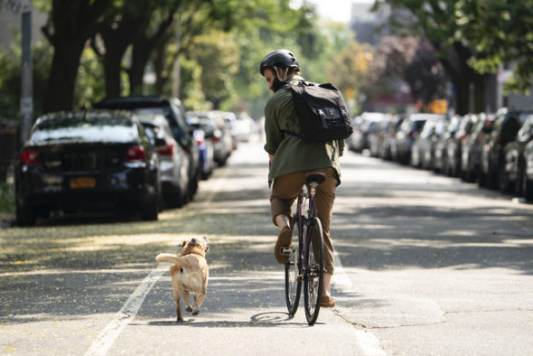 ben sinclair riding bike next to dog, HBO Series