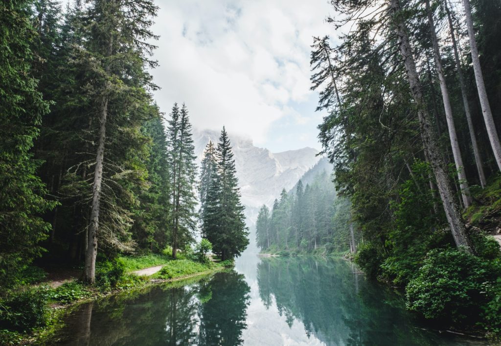 mountain pines and a river with beautiful sky