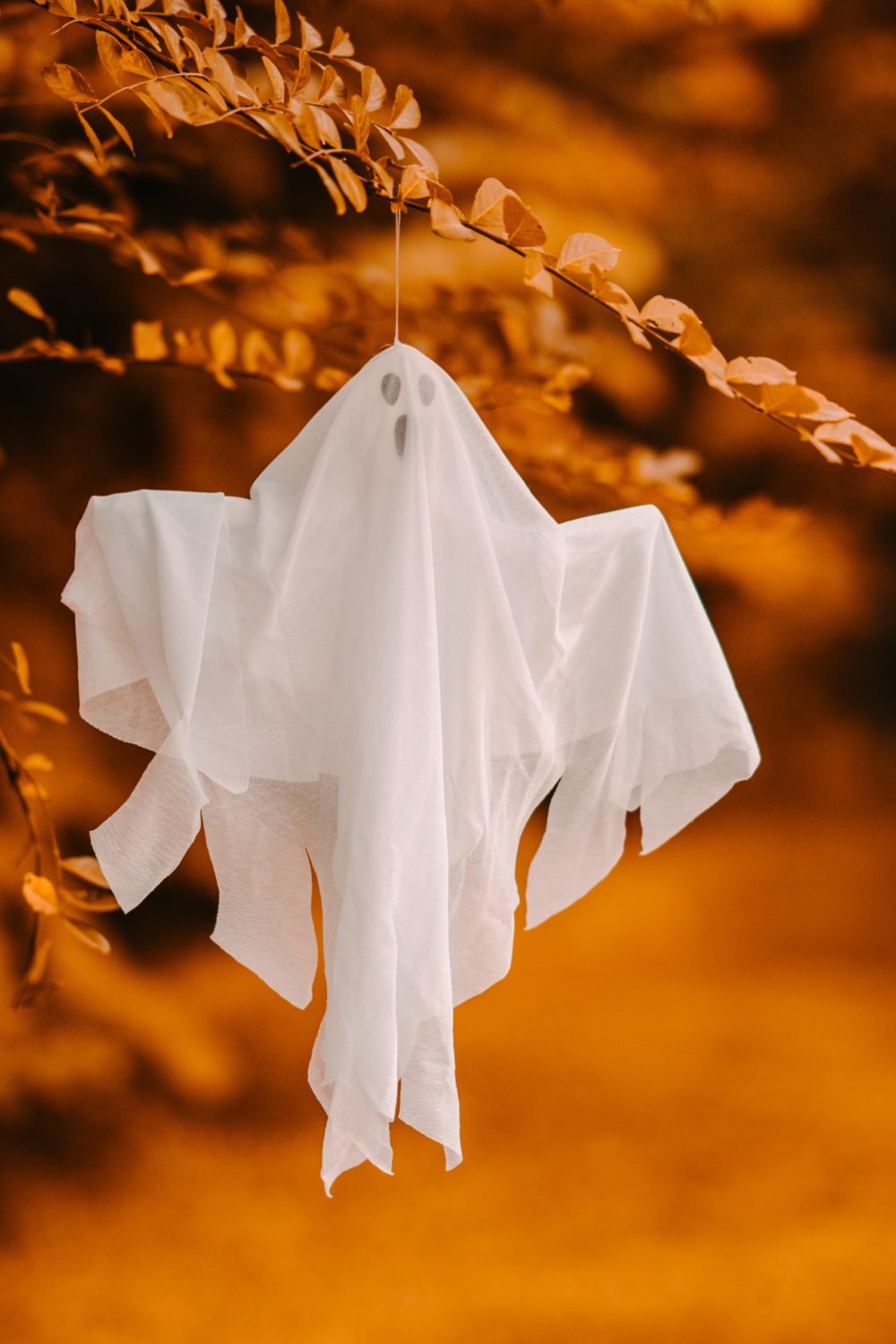 Ghost in a tree