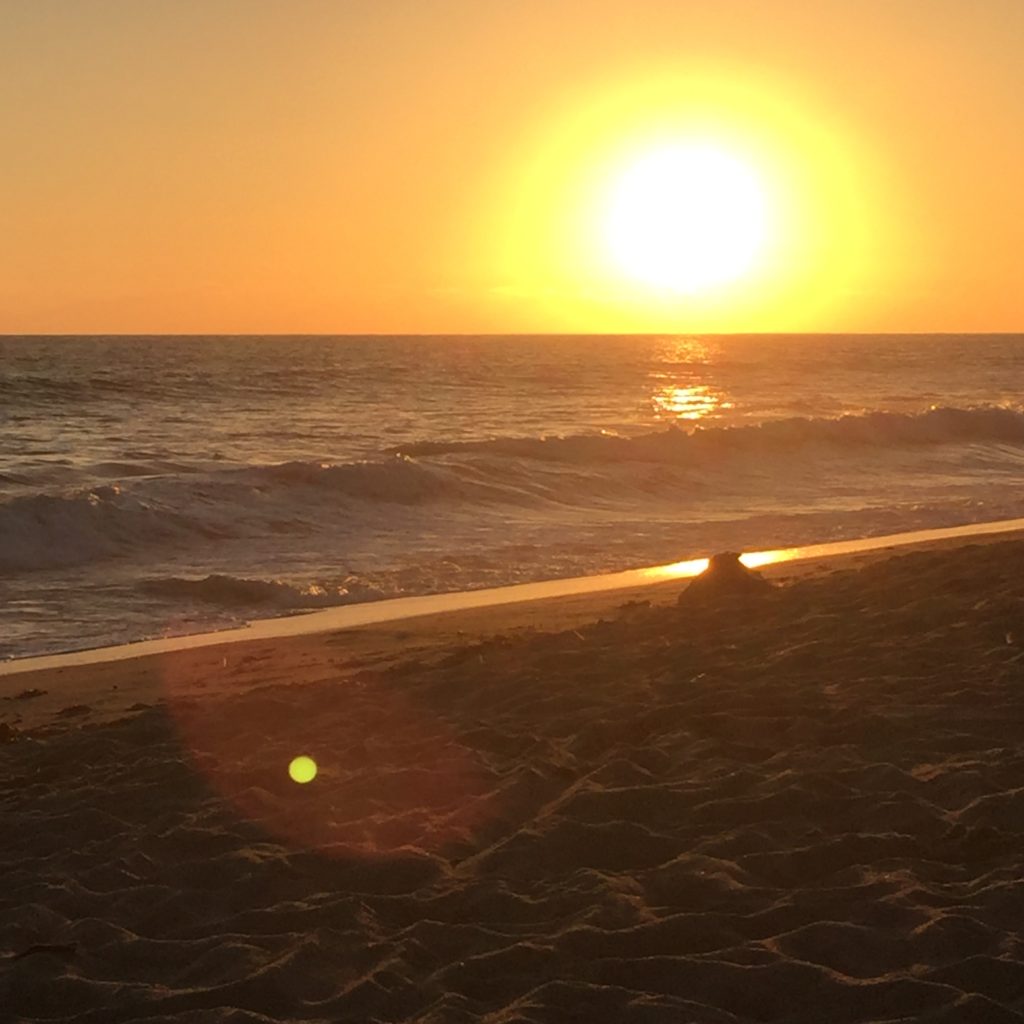 beach sunrise