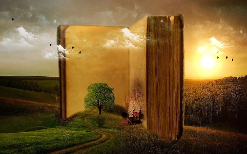 tree and storybook